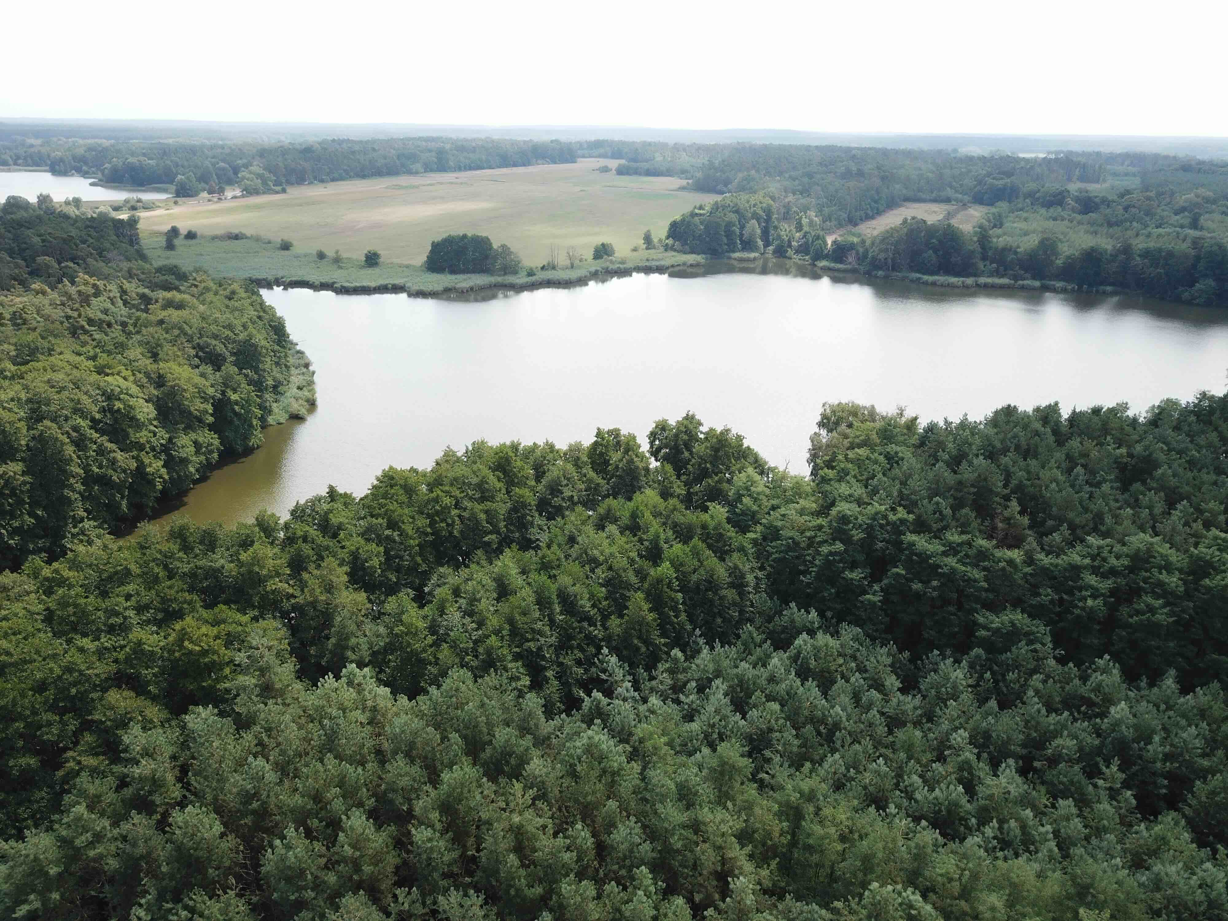 Pozemok pri jazere (18.000 m2) v obci Borský sv. Jur