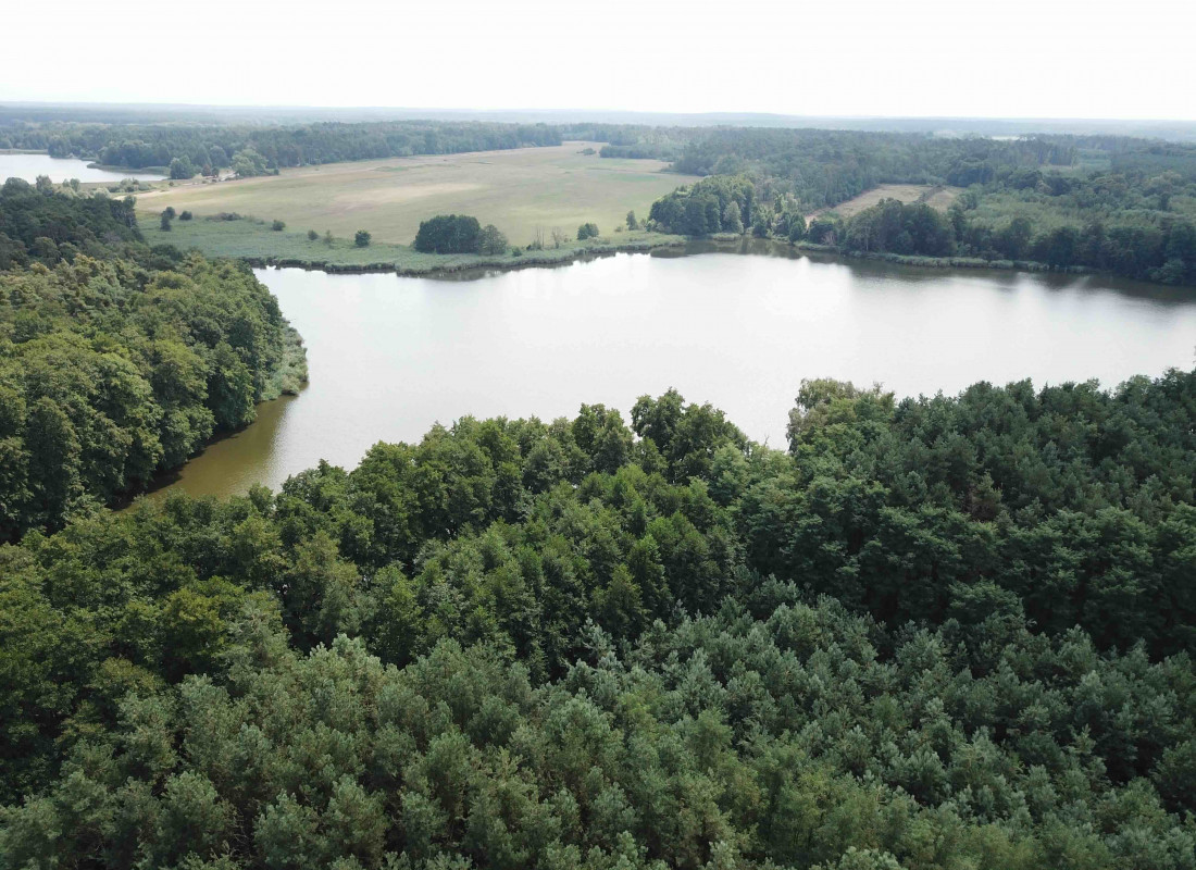 Pozemok pri jazere (18.000 m2) v obci Borský sv. Jur